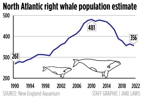 right whale population 2021
